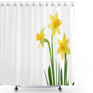 Personality  Daffodils Shower Curtains