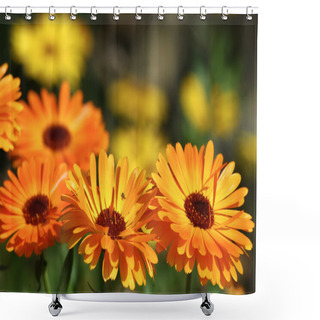 Personality  Marigold Flowers Shower Curtains