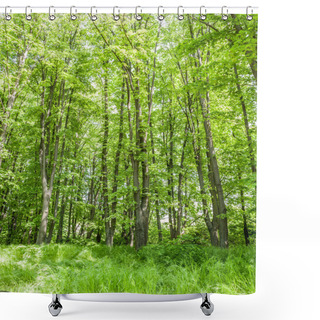 Personality  Bright Summer Forest Shower Curtains