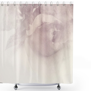 Personality  Soft Rose Background - Vintage Flower Design Shower Curtains