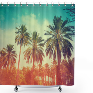 Personality  Palm Trees Shower Curtains