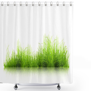 Personality  Green Grass With Reflection Isolated On White Background Shower Curtains