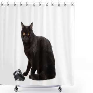 Personality  Studio Shot Of Black British Shorthaircat Near Joystick For Video Game Isolated On White Background  Shower Curtains