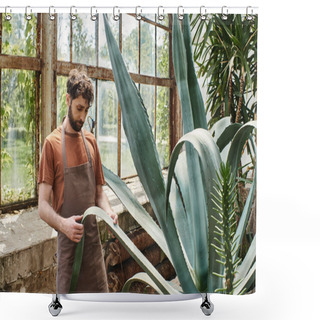 Personality  Handsome And Bearded Gardener In Apron Checking Leaves Of Aloe Vera Plant In Greenhouse, Earth Care Shower Curtains