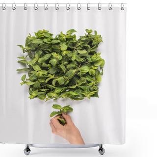 Personality  Hand Holding Mint Leaf Shower Curtains