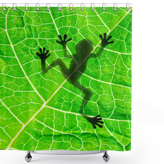 Personality  Frog Shadow Shower Curtains
