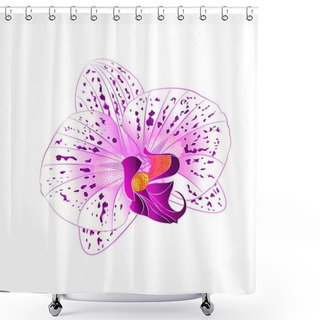 Personality  Purple And White Orchid Phalaenopsis Flower Closeup On A White Background Vintage  Vector  Illustration Editable Shower Curtains