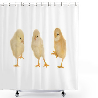 Personality  Chick Shower Curtains