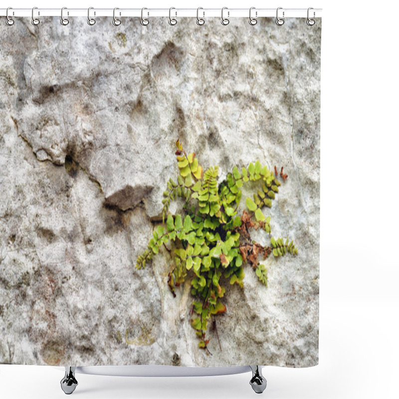 Personality  Flora Of Ojcow National Park. Shower Curtains