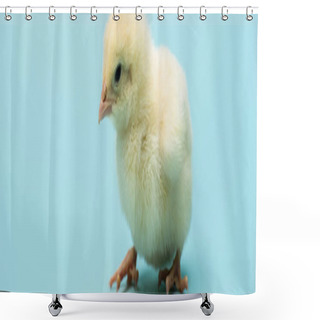 Personality  Cute Small Chick On Blue Background, Banner Shower Curtains