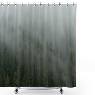 Personality  Fog Creeps Throughout Pine Forest Shower Curtains
