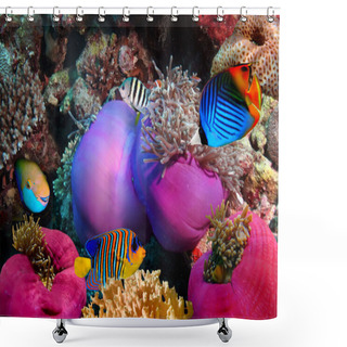 Personality  Threadfin Butterflyfish Shower Curtains