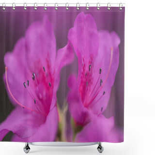 Personality  Selective Focus Of Beautiful Fresh Blooming Violet Flowers    Shower Curtains