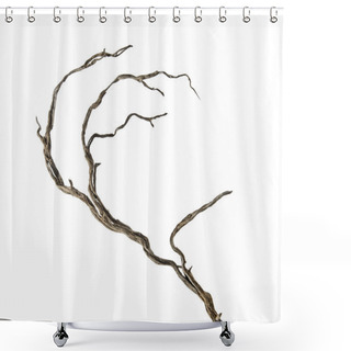 Personality  Dry Branch Shower Curtains