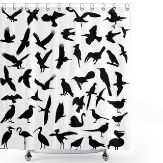 Personality  Big Collection Of Birds Shower Curtains