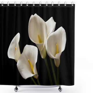 Personality  Calla Lily Flowers Shower Curtains