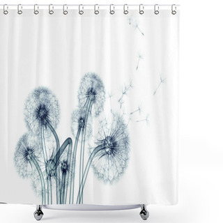 Personality  X-ray Image Of A Flower Isolated On White , The Taraxacum Dandel Shower Curtains