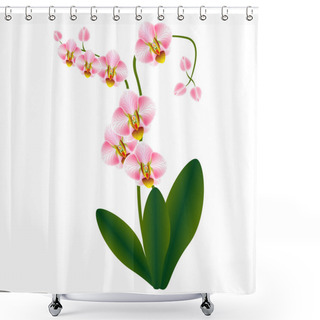 Personality  Illustration Orchid Pink. Shower Curtains