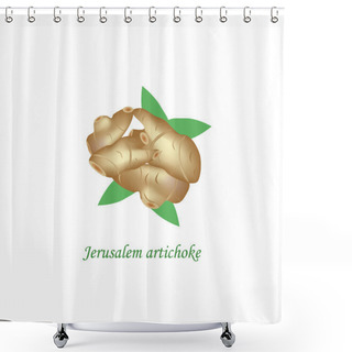 Personality  Jerusalem Artichoke. Vector Illustration On Isolated Background Shower Curtains