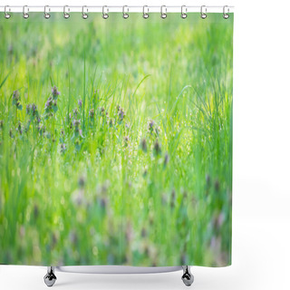 Personality  Dew On Grass Shower Curtains