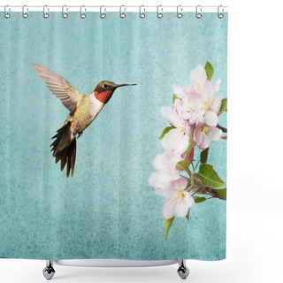 Personality  Ruby-throated Hummingbird Male Hovering Next To Apple Blossoms, On Textured Background Shower Curtains