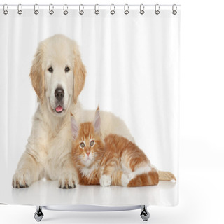 Personality  Golden Retriever Puppy And Ginger Kitten Shower Curtains