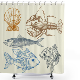 Personality  Fish, Lobster, Shell Vector Set Shower Curtains