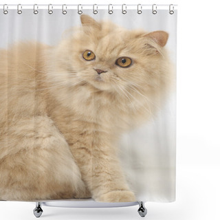 Personality  Persian Cat Portrait Shower Curtains