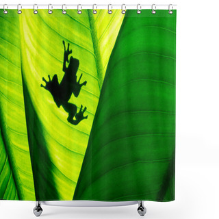 Personality  Frog Shadow On Natural Green Leaf Background, Tropical Foliage Texture. Shower Curtains