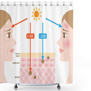 Personality  Infographic Skin Illustration. The Difference Between UVA And UVB Rays Penetration Shower Curtains