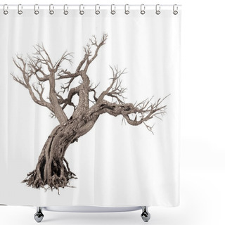 Personality  Dead Tree Isolated On White Background, 3D Rendering Shower Curtains