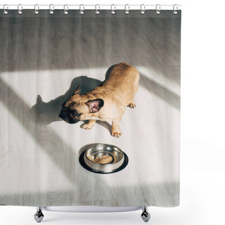 Personality  Overhead View Of Adorable French Bulldog Standing Near Bowl At Home Shower Curtains