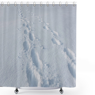 Personality  Footprints On White Clear Snow With Copy Space Shower Curtains