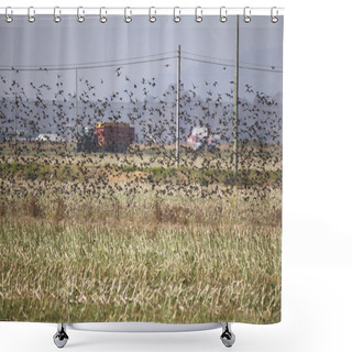 Personality  Flock Of Starlings Shower Curtains