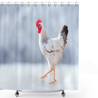 Personality  Christmas. White Rooster Shower Curtains