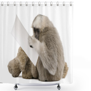 Personality  Close-up Of Young Pileated Gibbon (1 Year) Shower Curtains