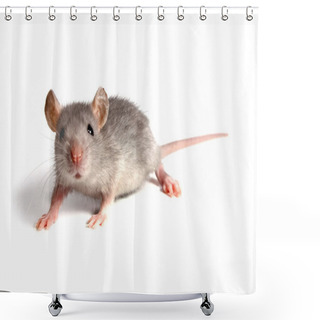 Personality  Mouse Shower Curtains