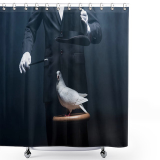 Personality  Cropped View Of Magician Showing Trick With Dove, Wand And Hat In Dark Room With Smoke  Shower Curtains