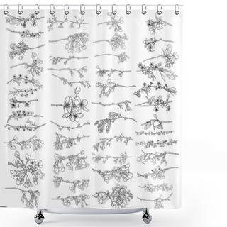 Personality  Set Of Sakura Flowers Blooms. Cherry Flowers Blossom Twigs. Leaves Buds And Pops Botanical Illustrations Collection. Black And White National Traditional Tree Branches Spring Opening Set, Vector. Shower Curtains