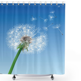 Personality  Vector Dandelion On Blue Background Shower Curtains
