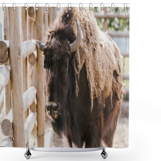 Personality  Close Up View Of Wild Buffalo At Zoo Shower Curtains