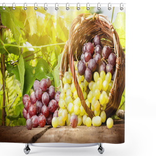 Personality  Grapes In A Basket Shower Curtains