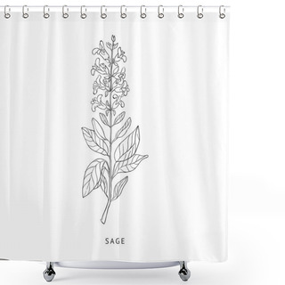 Personality  Sage Hand Drawn Realistic Sketch Shower Curtains