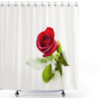 Personality  Close-up Of Rose Flower Shower Curtains