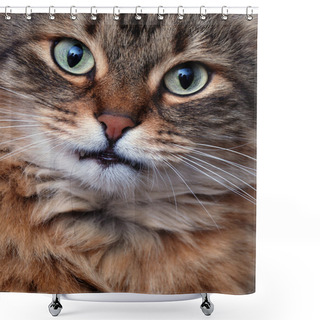 Personality  Kitty Shower Curtains