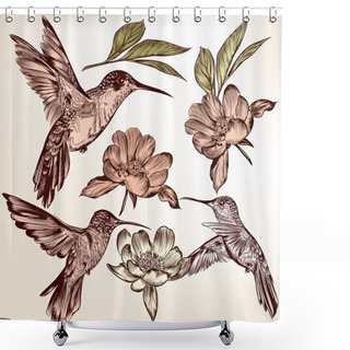 Personality  Collection Of Vector  Hand Drawn Hummingbirds And Flowers Shower Curtains