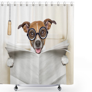 Personality  Dog Toilet Shower Curtains