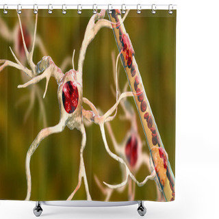 Personality  Astrocyte And Blood Vessel Shower Curtains