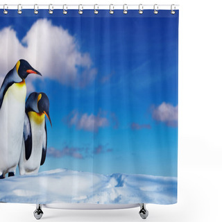 Personality  Two Penguins In The Snow Shower Curtains