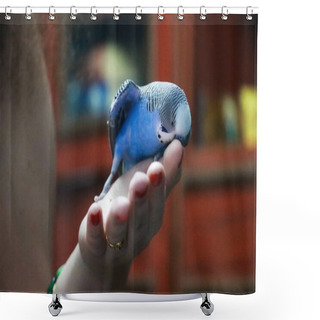 Personality  Small Blue Budgerigar On Hand. Beautiful Bird. Love With Parrot  Shower Curtains